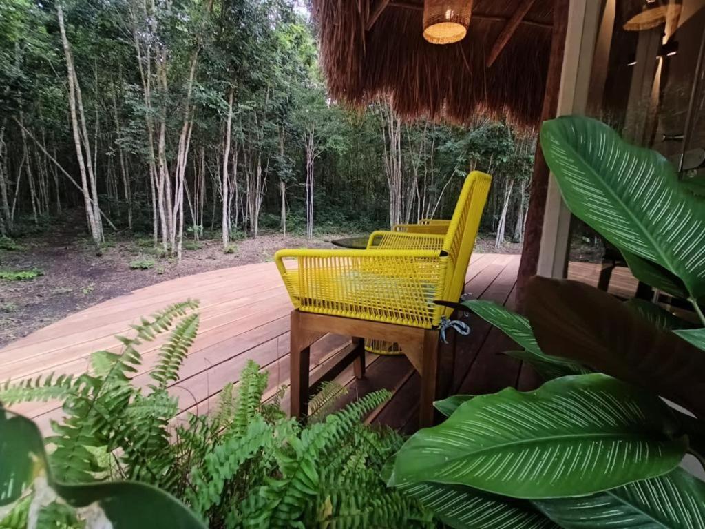 Hotel Casa Kaan Calakmul Xpujil Exteriér fotografie