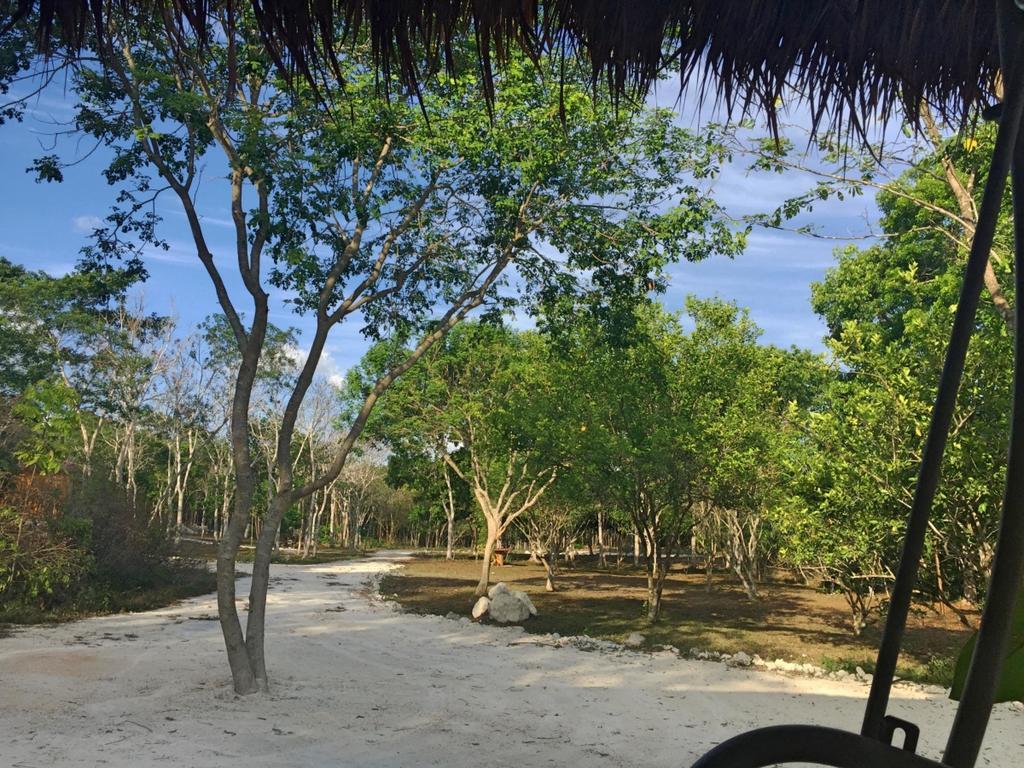 Hotel Casa Kaan Calakmul Xpujil Exteriér fotografie